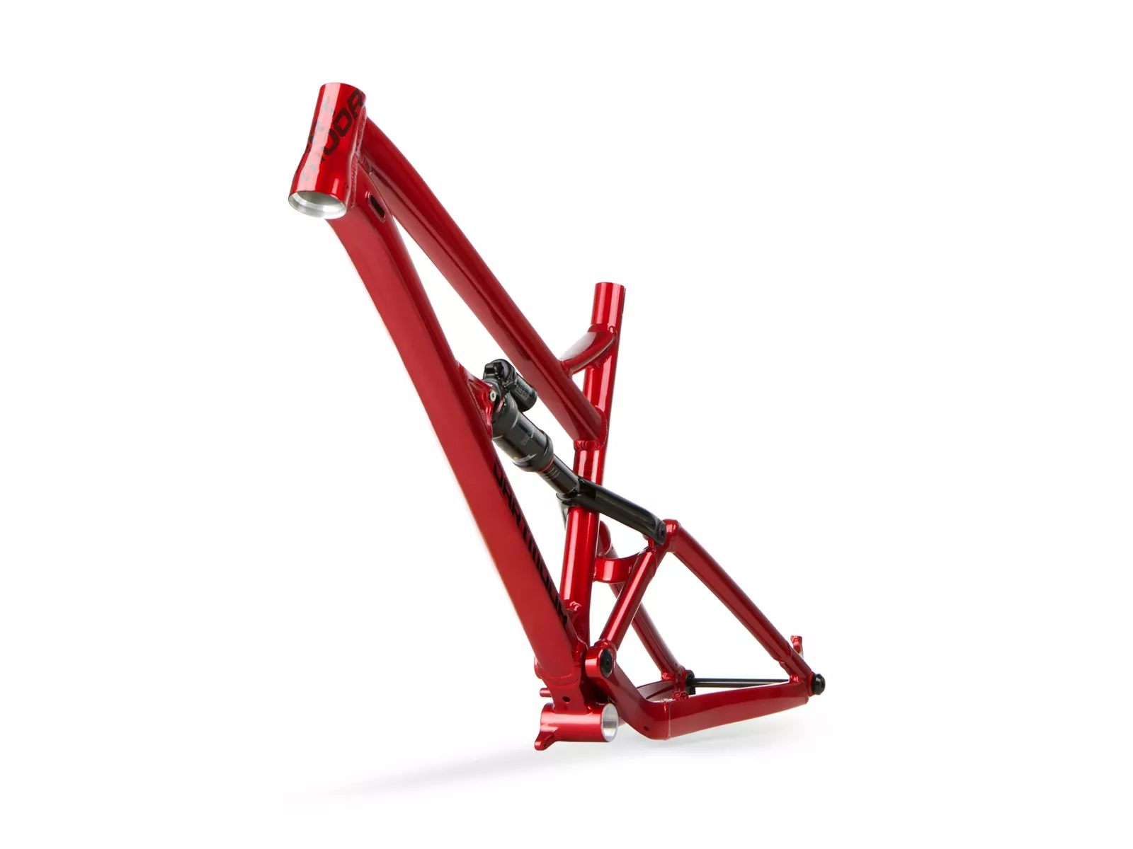 Dartmoor blackbird frame new arrivals
