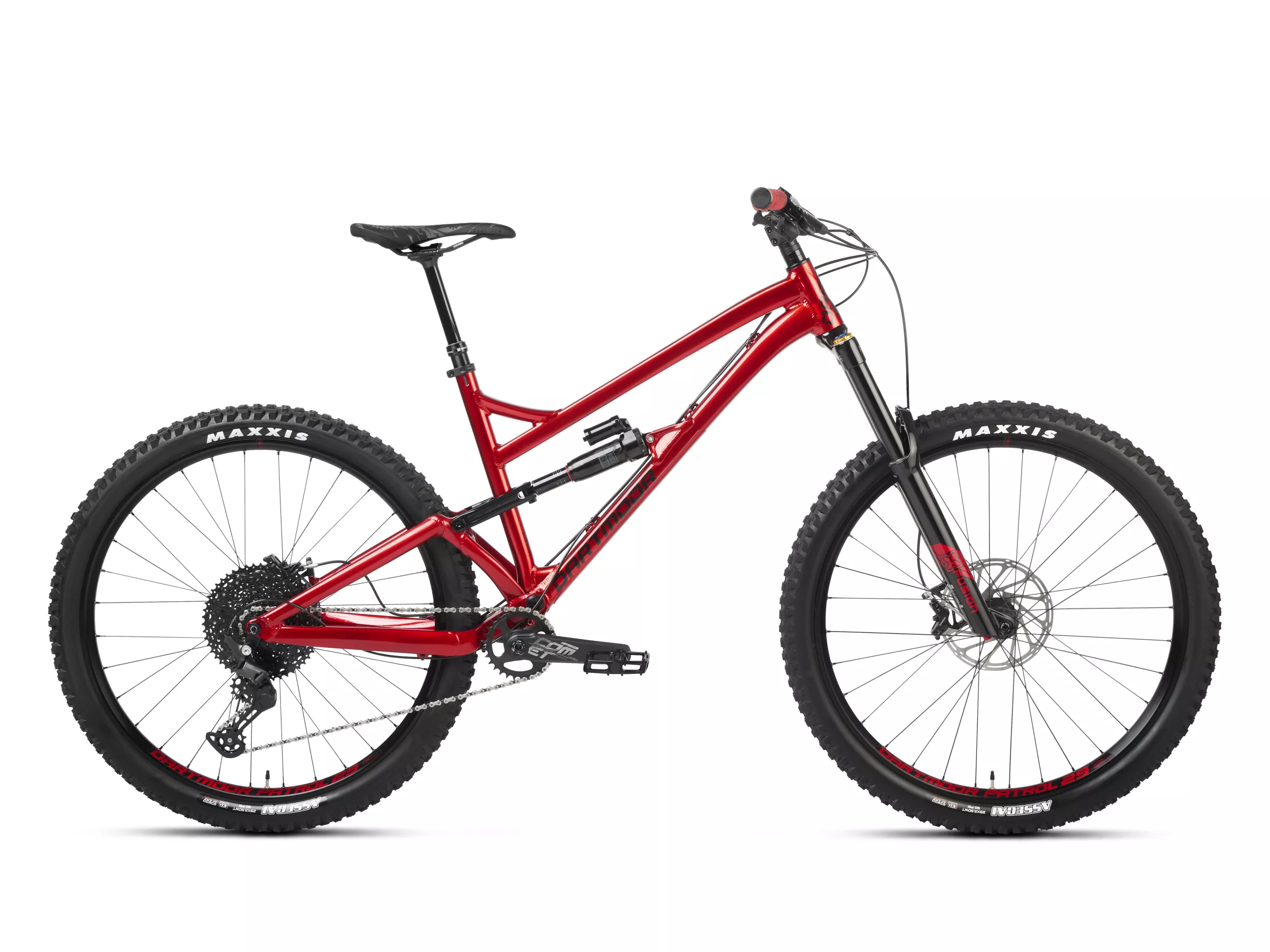 Dartmoor blackbird 29 frame store