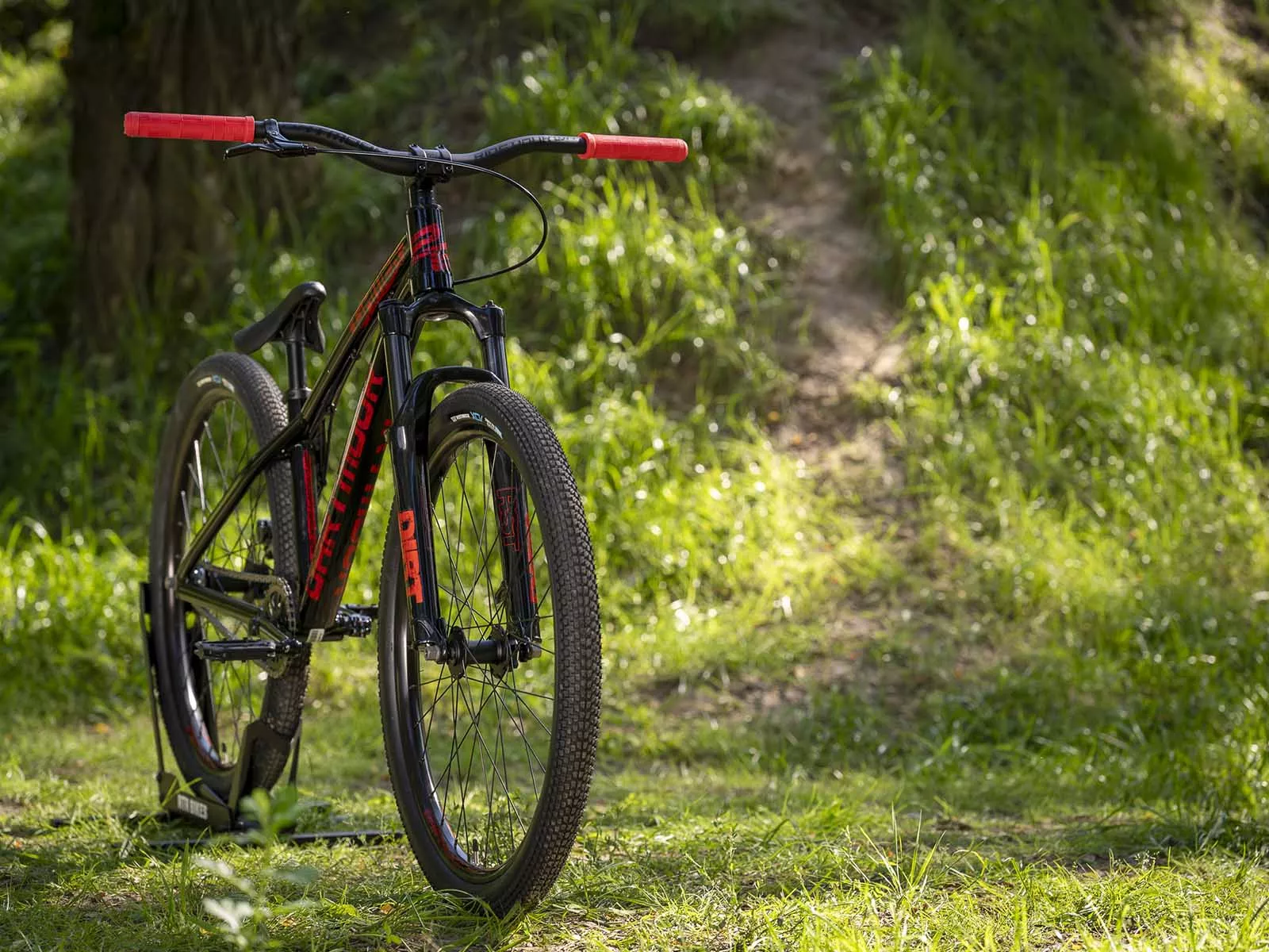Dartmoor bikes top dirt jump