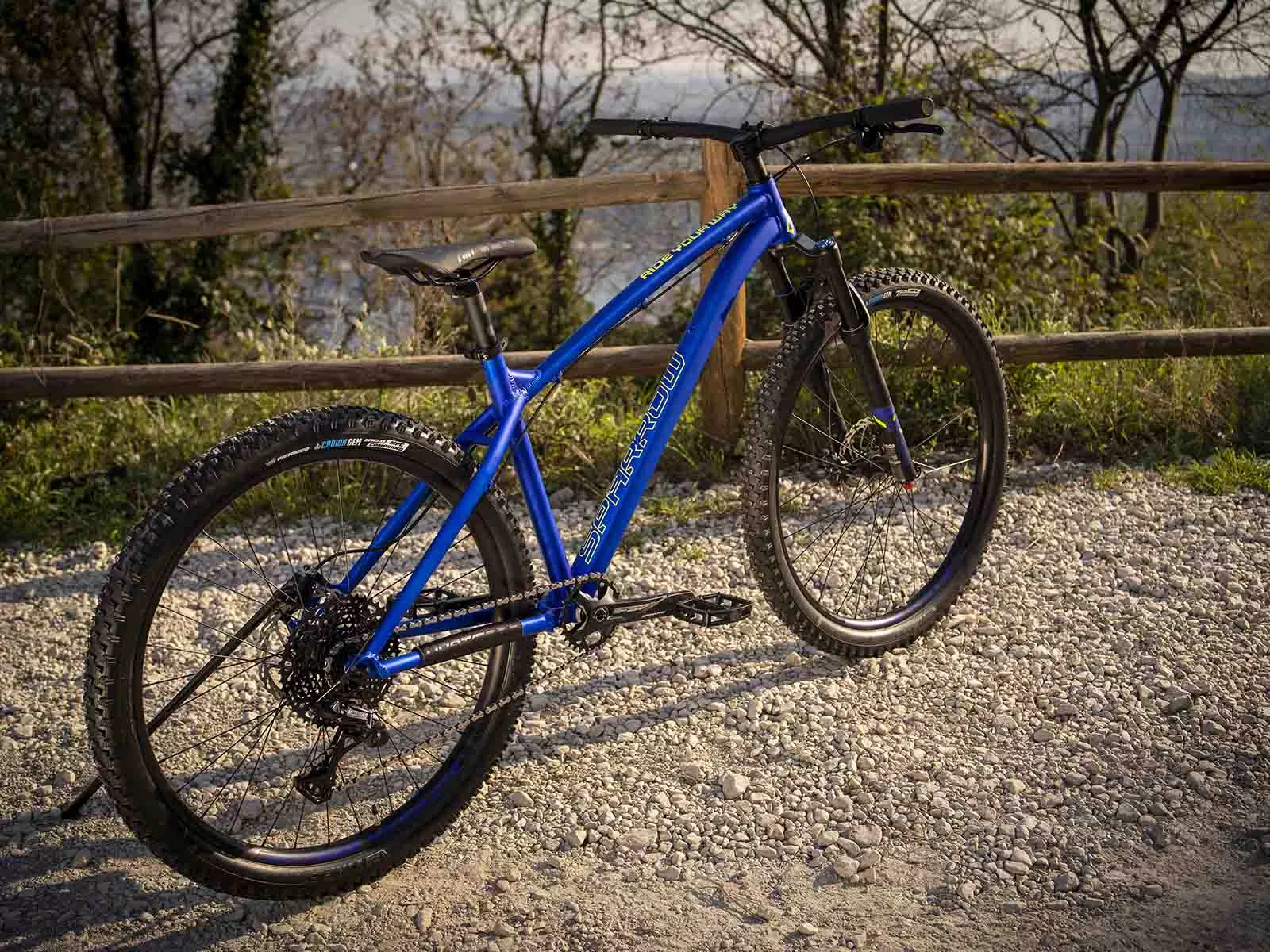 Dartmoor hardtail hotsell frame