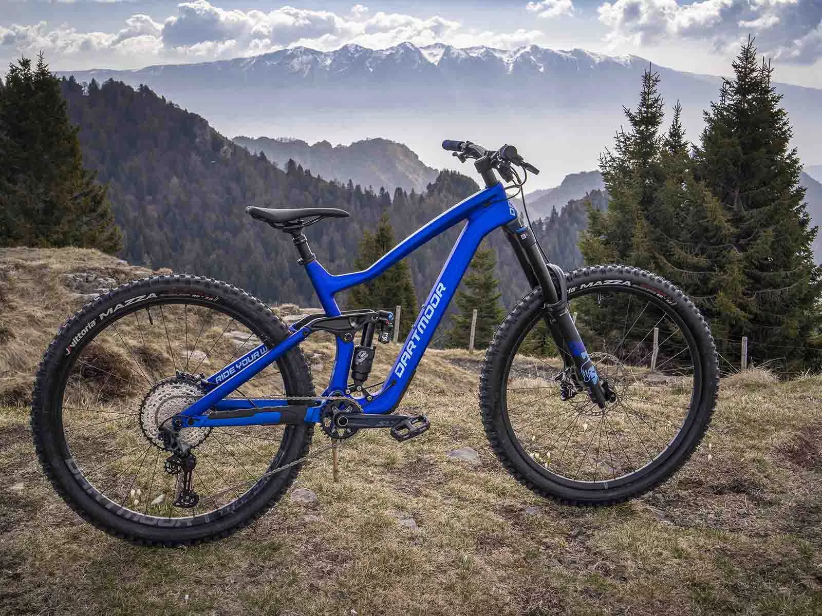 Forte dartmoor mtb online tire
