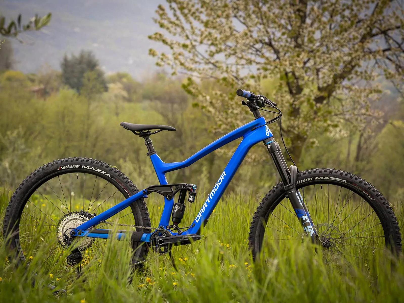 Forte dartmoor mtb tire on sale
