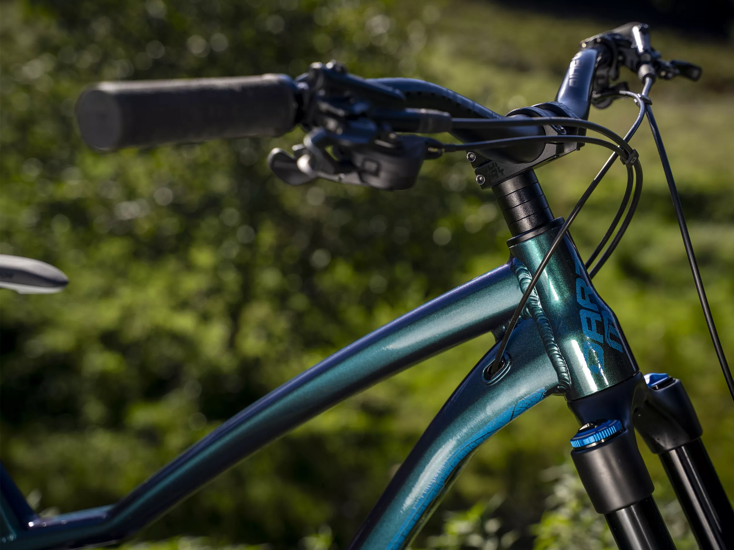 Dartmoor bike outlet