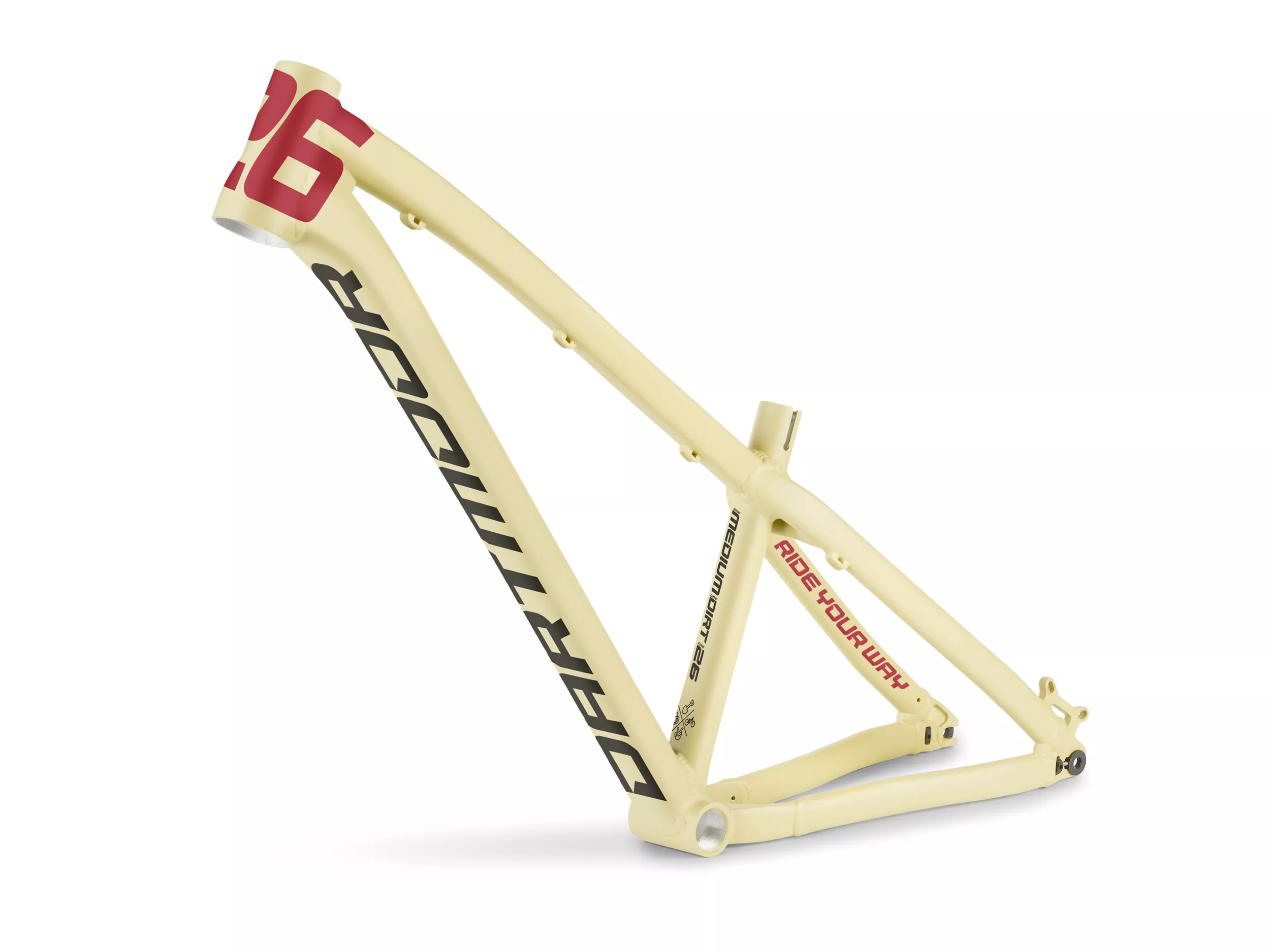 Player – Player Twenty Six TWO6PLAYER PRO | Dartmoor-bikes