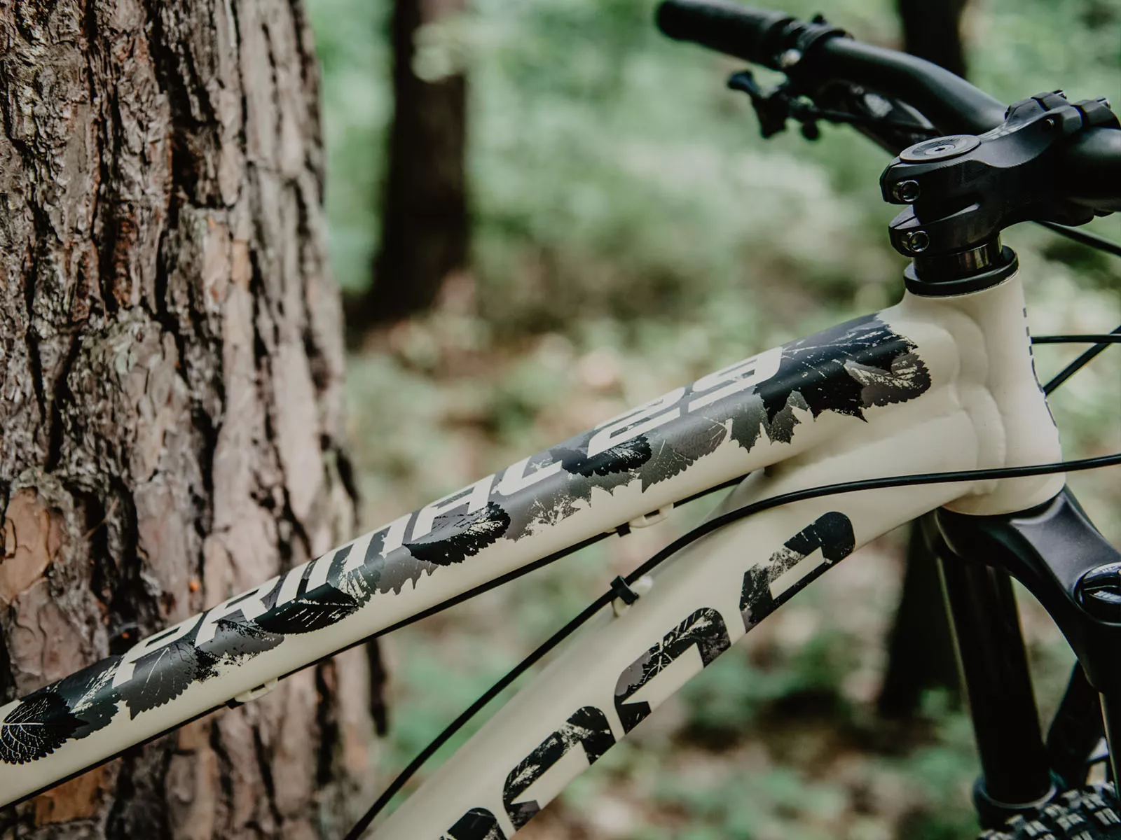 Dartmoor primal 29 frame online