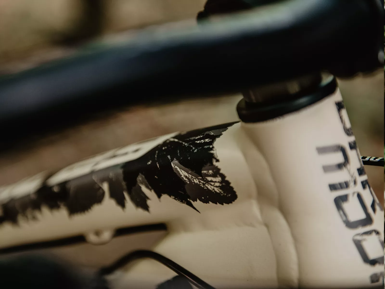 Dartmoor primal outlet pro 29