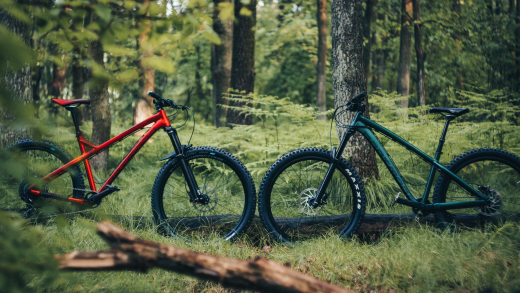 Dartmoor hornet 2018 frame sale