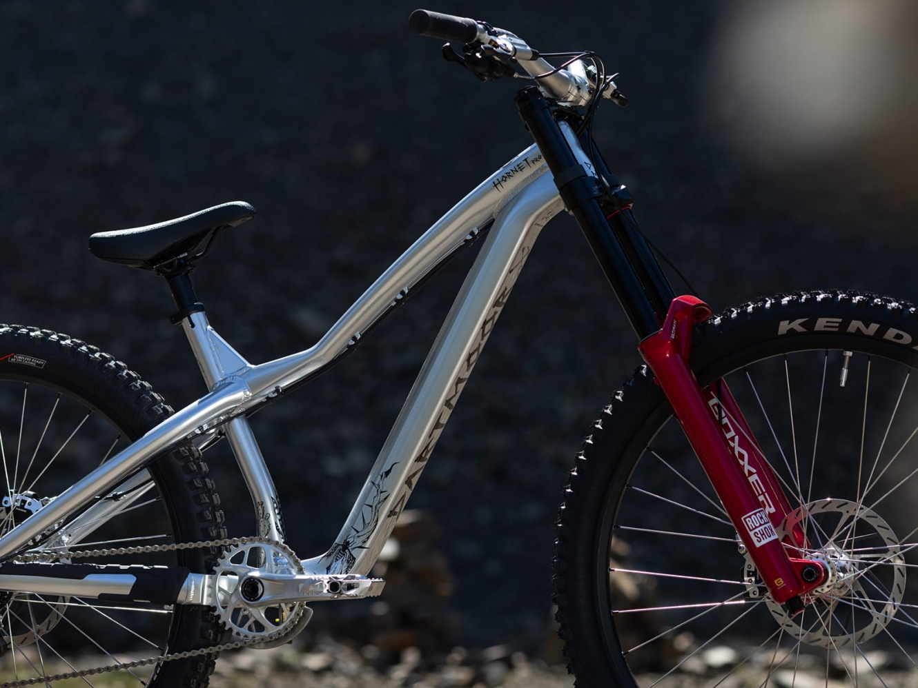 Banan's new Hornet Pro bikecheck | Dartmoor-bikes