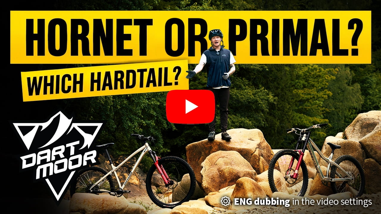 PRIMAL OR HORNET. WHICH HARDTAIL?