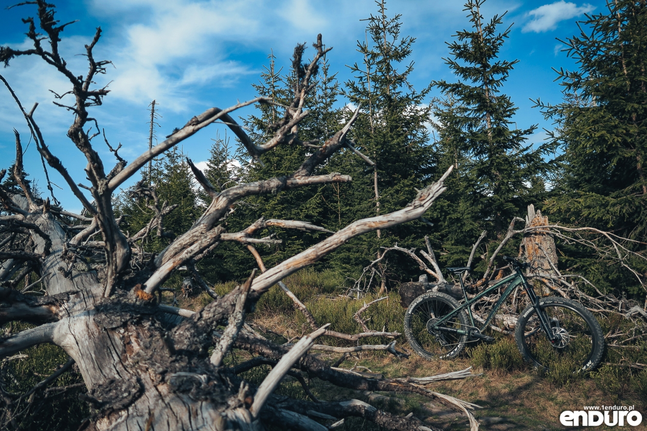 test-dartmoor-hornet-pro-2018-12 test-dartmoor-hornet-pro-2018-12