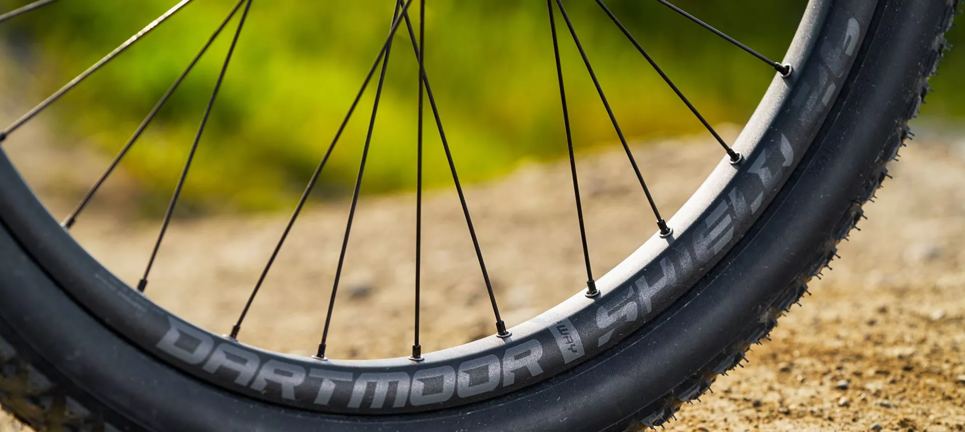 Colored bicycle spokes on sale