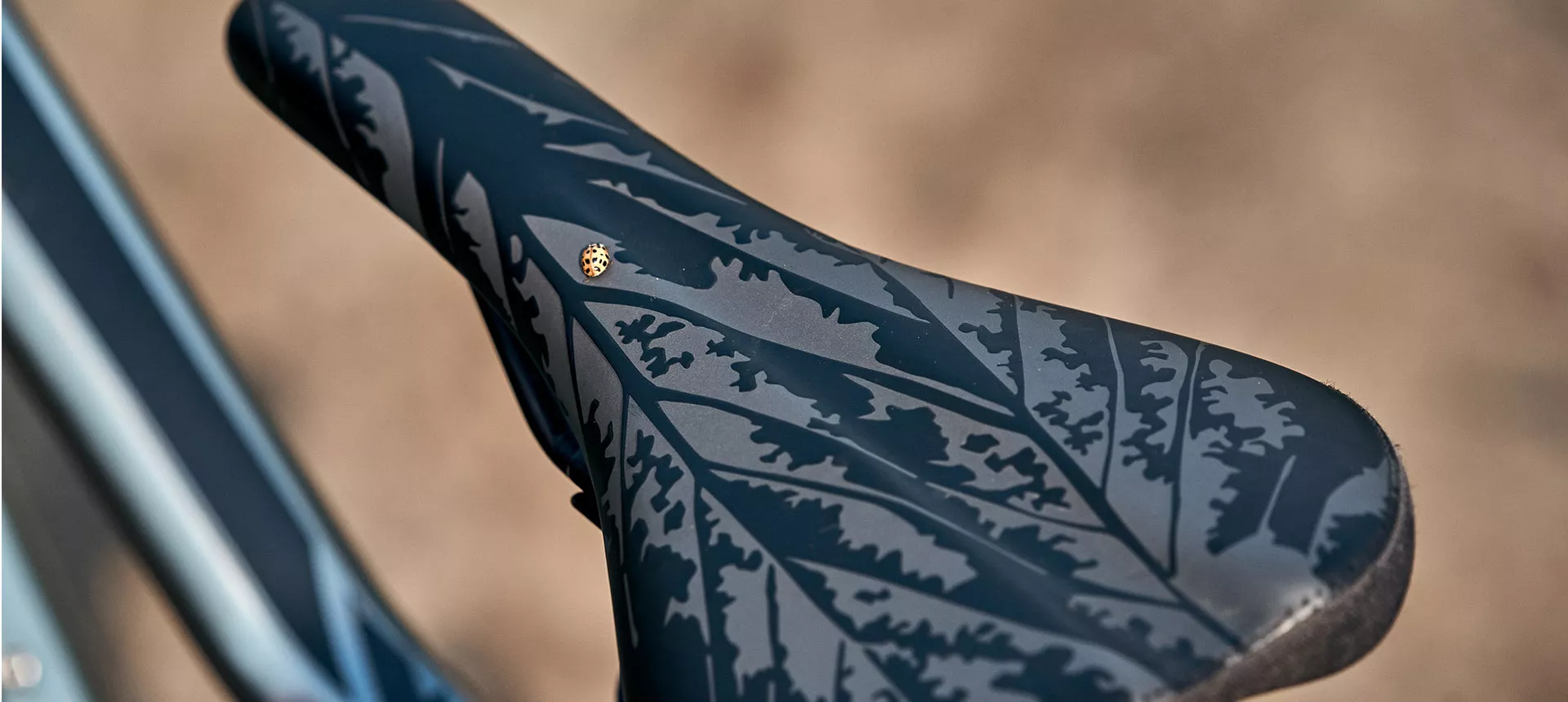 STREETFIGHTER | Dartmoor-bikes
