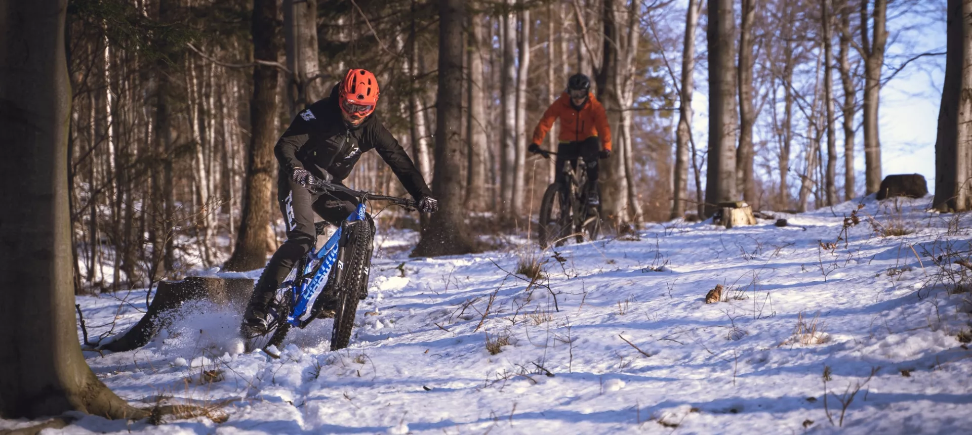 BLUEBIRD 29 | Dartmoor-bikes
