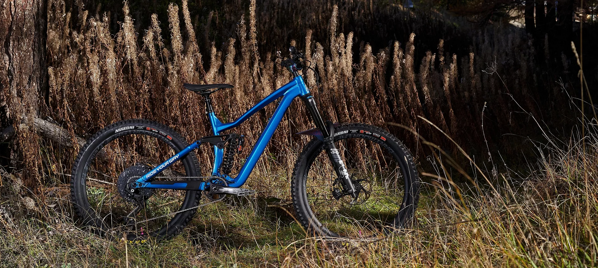 Hardtail dartmoor clearance