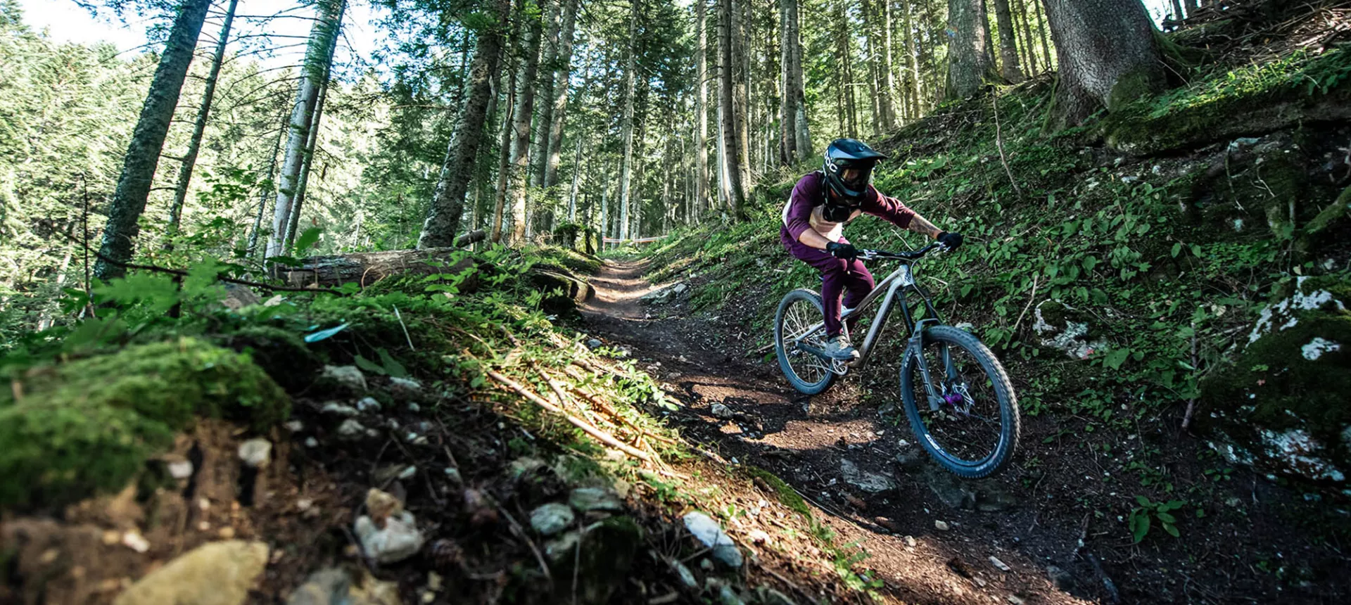 ダートムーア dartmoor hornet 2014　ホイールセット ダートムーア dartmoor hornet 2014 ホイールセット ダート