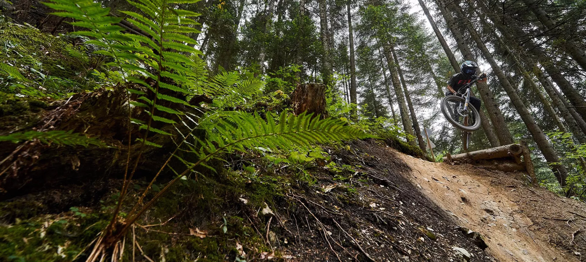 Dartmoor_Enduro