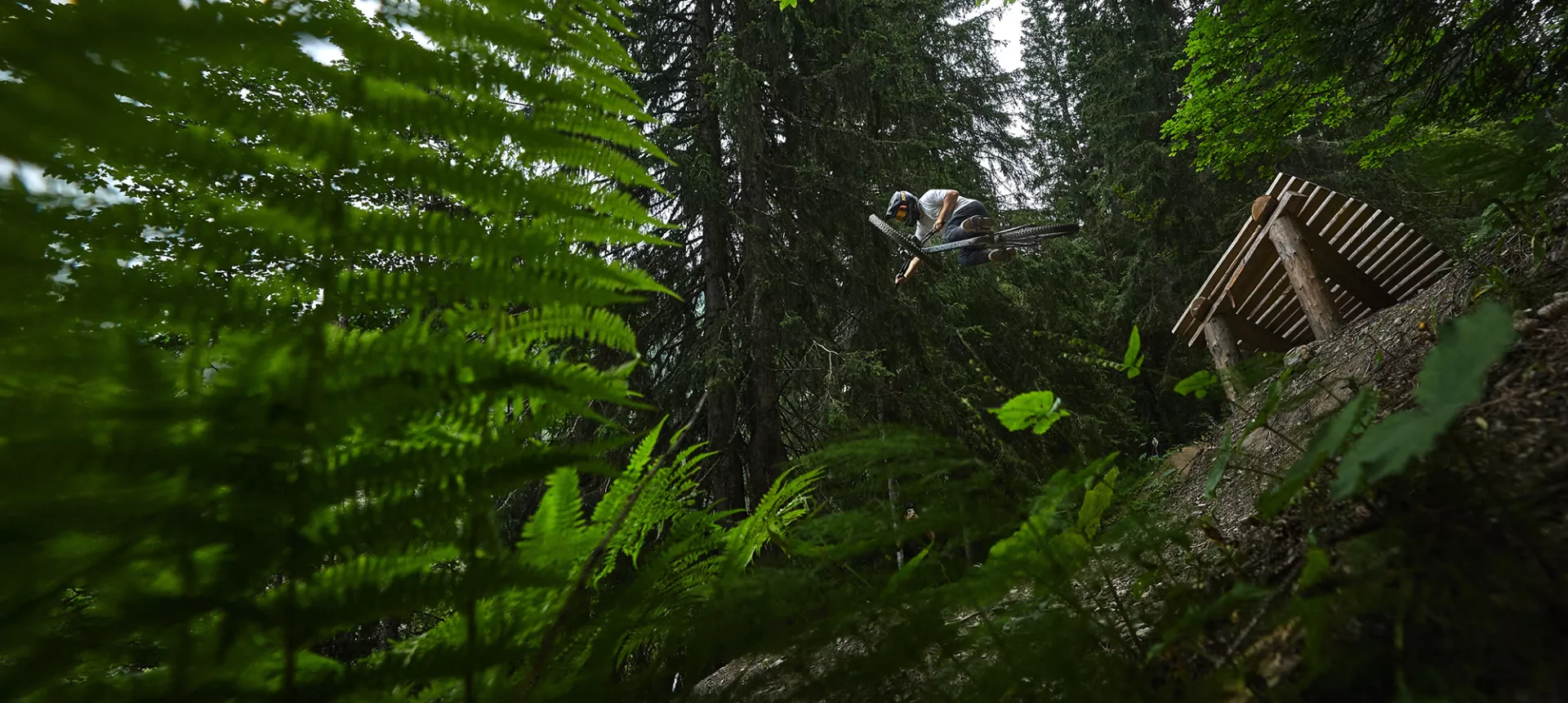 Dartmoor_Freeride