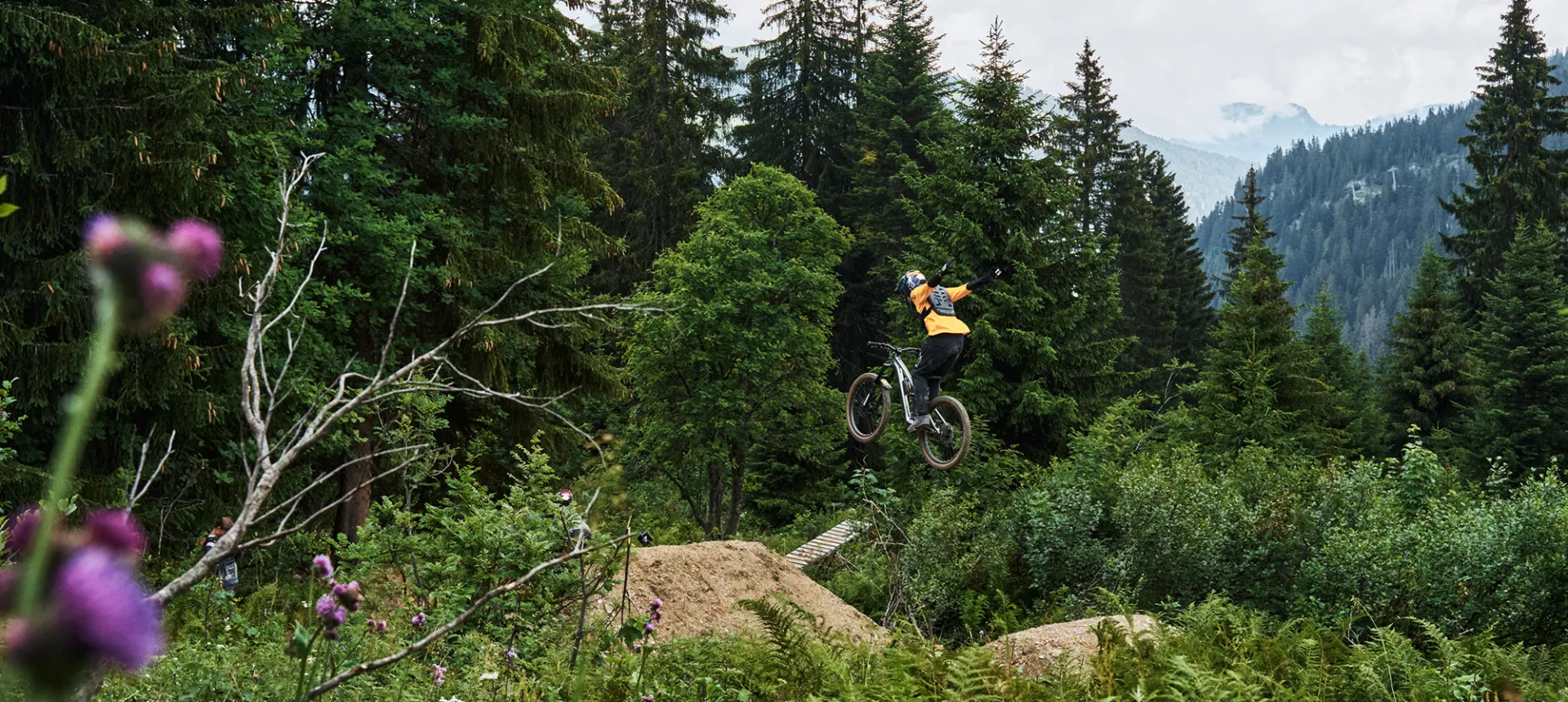 Dartmoor_Freeride