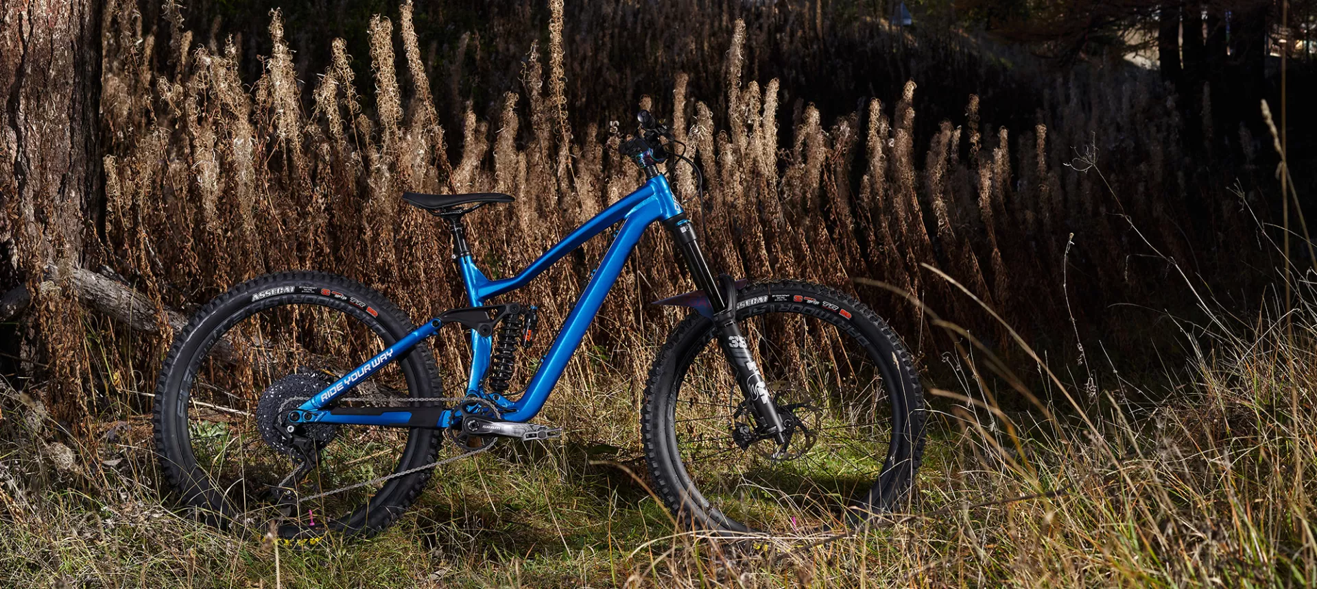Dartmoor_Freeride