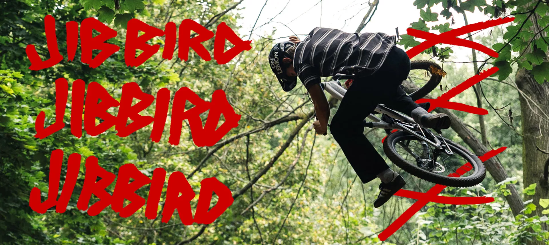 Dartmoor_Jibbird